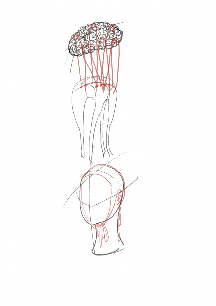 Projection – Process of Making Body Implants